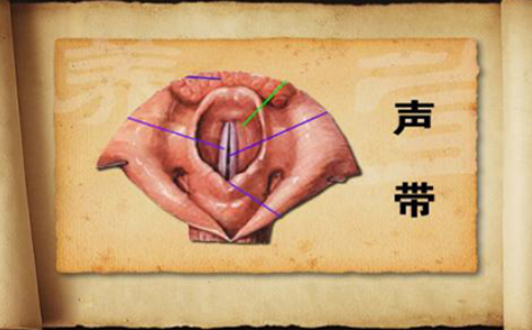 声带息肉