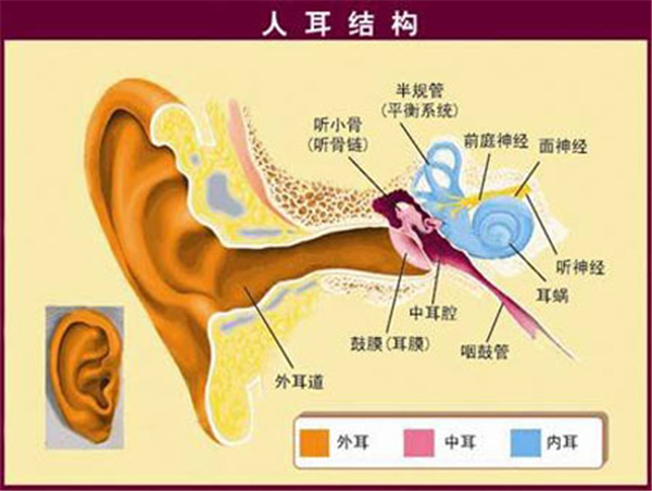 听力损失
